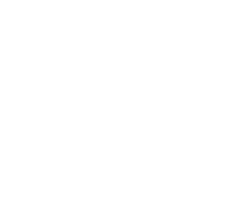 WesternWebCo icon