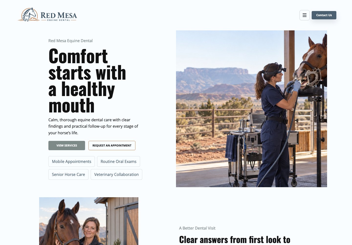 Sample equine dentist website design for Red Mesa Equine Dental