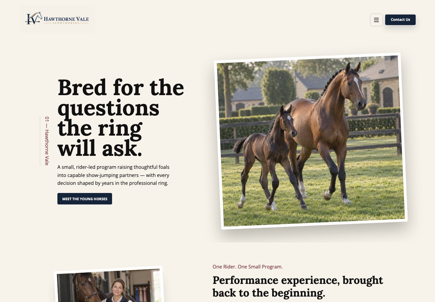 Sample sport horse breeder website design for Hawthorne Vale Sporthorses