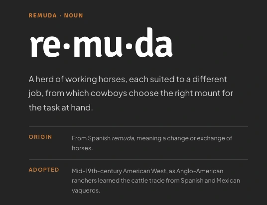 Definition of the Remuda Website Engine name